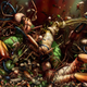 Image for article titled Intense graphic novel about insects is like Dr. Seuss meets Darwin